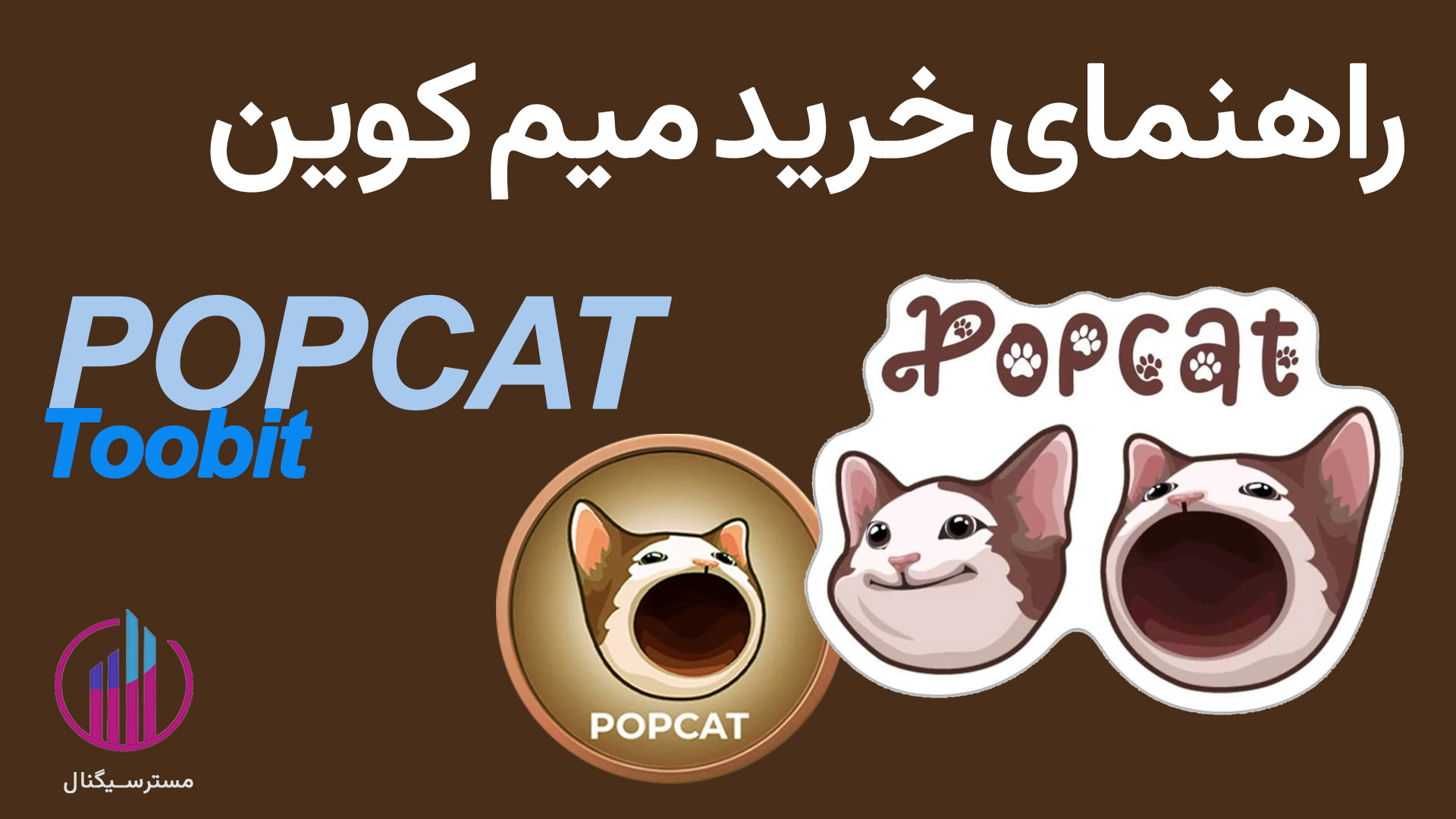 میم کوین popcat چیست؟ معرفی، مزایا، معایب و نحوه خرید popcat