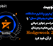 صرافی توبیت، بهترین پلتفرم مشتقات دارایی‌های دیجیتال در جوایز Hedgeweek 2025