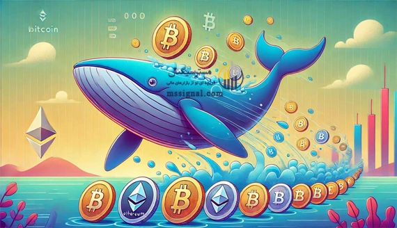 Whale Ratio : ردپای نهنگ ها